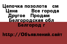 Цепочка позолота 50см › Цена ­ 50 - Все города Другое » Продам   . Белгородская обл.,Белгород г.